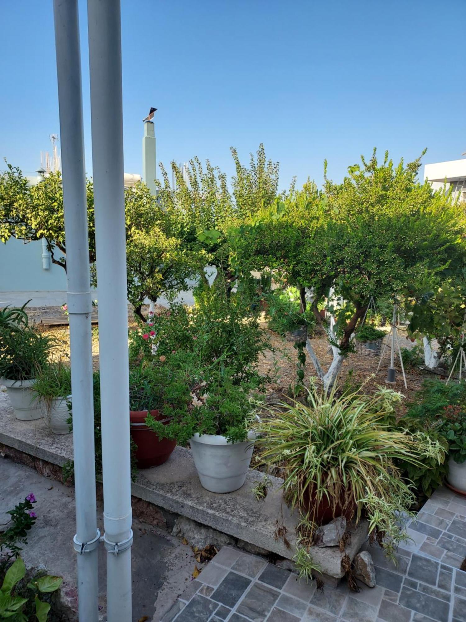 Anastasia'S Garden House Ιαλυσός Ρόδος Εξωτερικό φωτογραφία