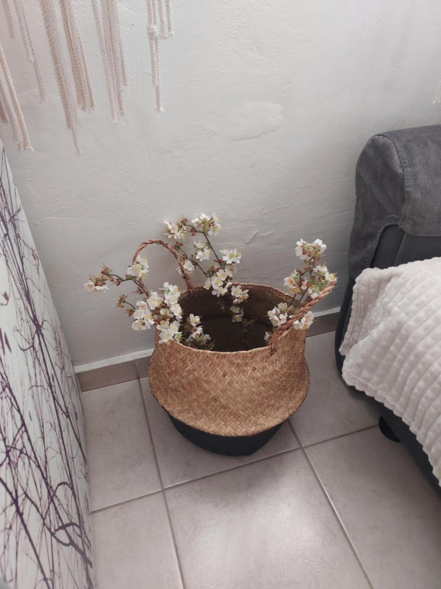 Anastasia'S Garden House Ιαλυσός Ρόδος Εξωτερικό φωτογραφία